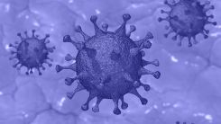 Novel Coronavirus.