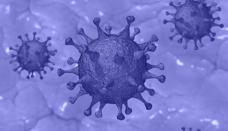Novel Coronavirus.