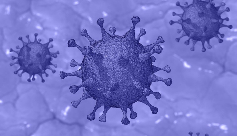 Novel Coronavirus.
