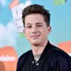 Charlie Puth to BTS fans: Plead to end toxic internet screaming