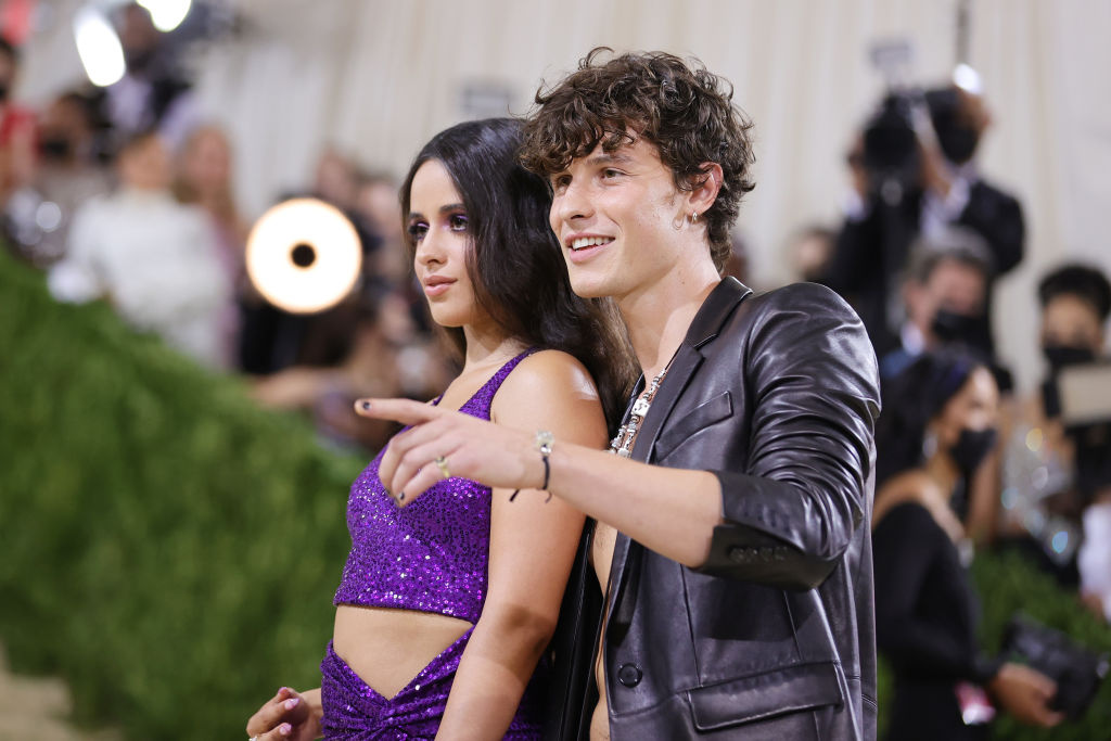 Camila Cabello Takes a Social Media Break Just as Shawn Mendes' New Album Drops