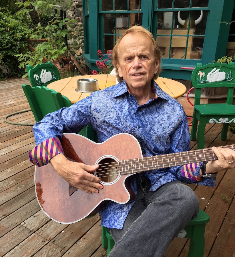 Al Jardine Talks New Solo Music, Beach Boys' Future, Bonds with Brian ...