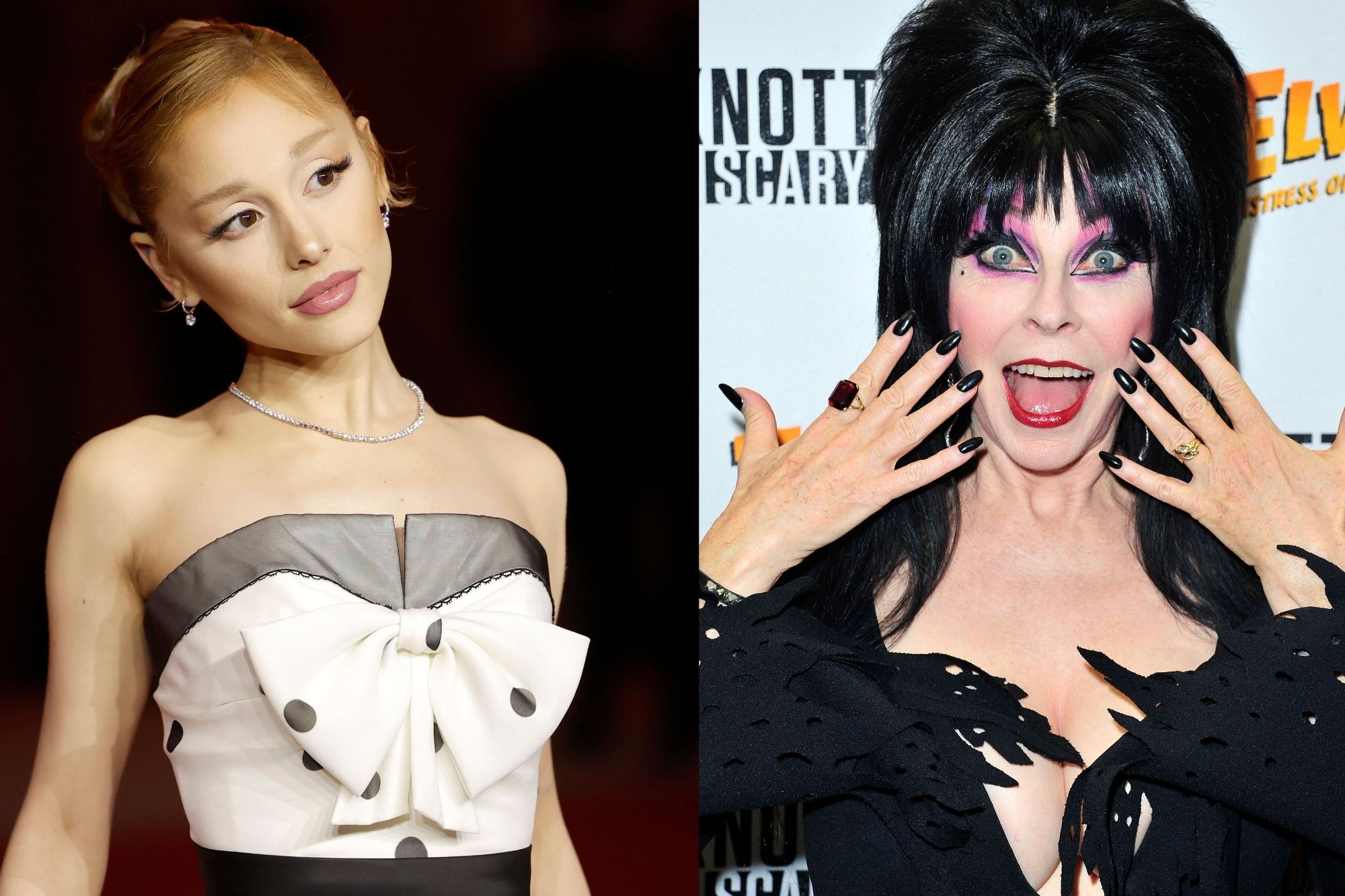 Ariana Grande Gets Called Out for Her Rude Behavior Towards Horror Queen Elvira