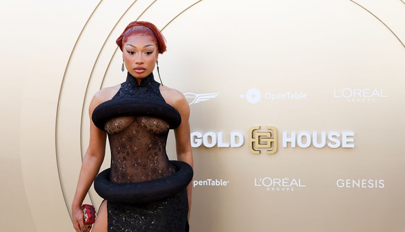 Megan Thee Stallion Fires Back at Tory Lanez Supporters in